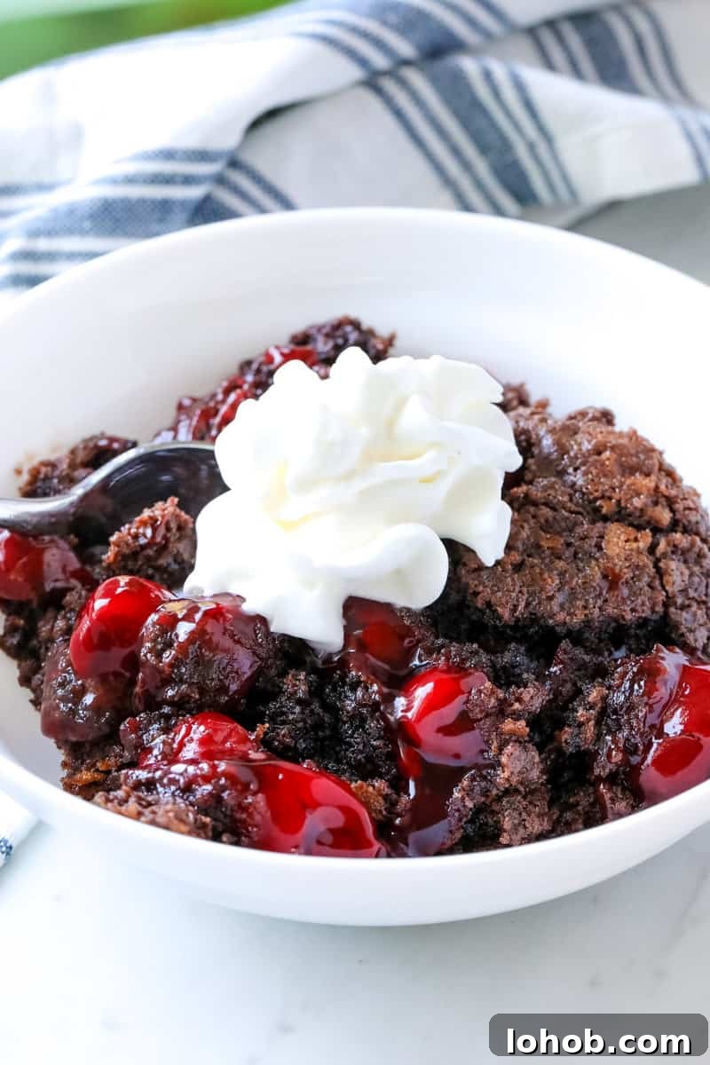 Decadent Chocolate Cherry Dump Cake Recipe 2 chocolate cherry dump cake in a white bowl and topped with whipped cream