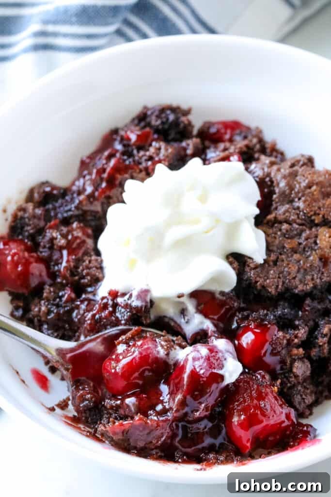 Decadent Chocolate Cherry Dump Cake Recipe 3 chocolate cherry dump cake in a bowl
