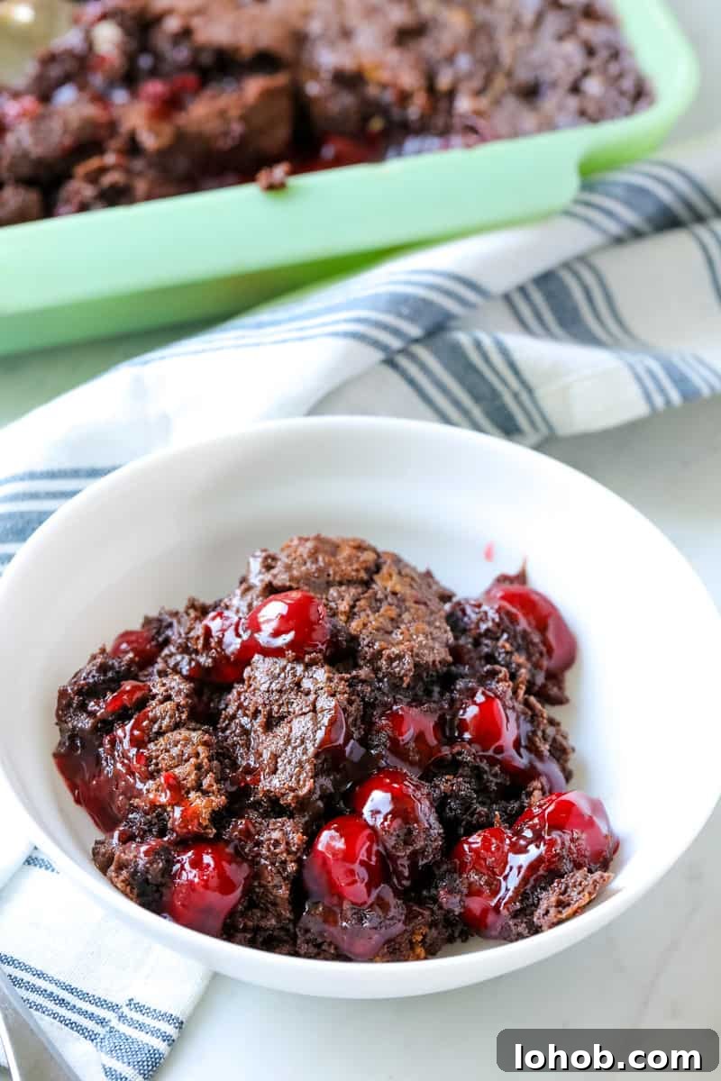 Decadent Chocolate Cherry Dump Cake Recipe 5 chocolate cherry dump cake in a white bowl on a table