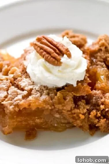 Decadent Chocolate Cherry Dump Cake Recipe 9 Apple Dump Cake is a simple apple dessert recipe.