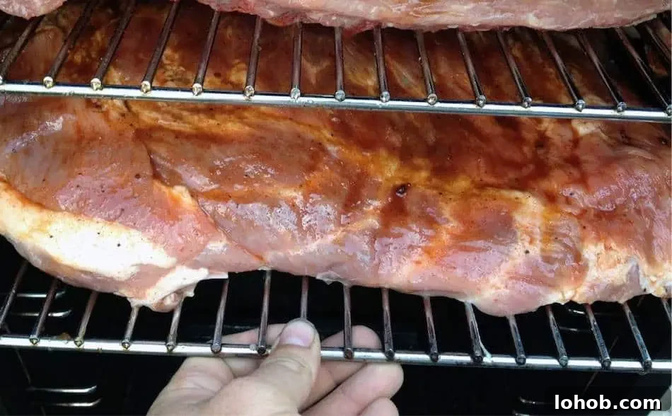 Electric Smoker Pork Butt: Tips From the Pros 4 img 3927 3