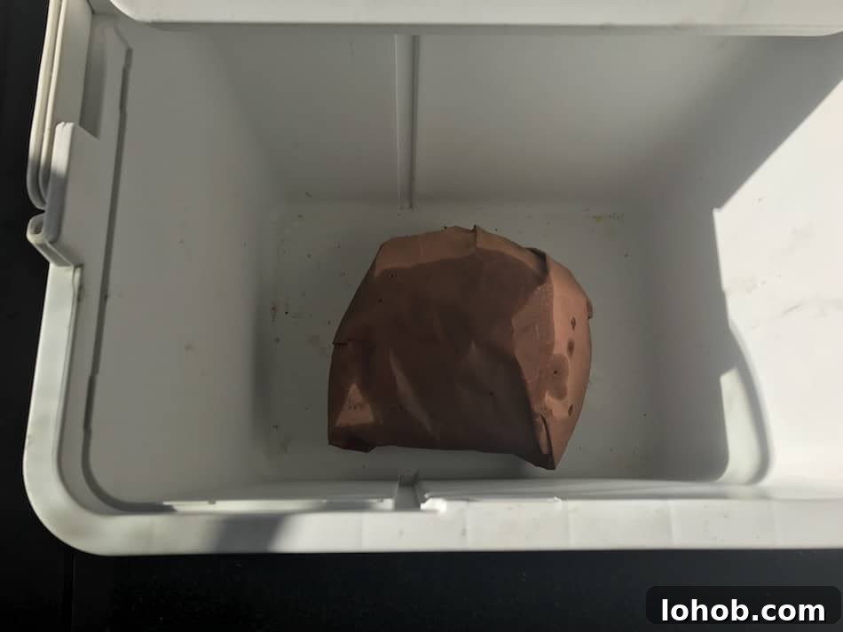 Electric Smoker Pork Butt: Tips From the Pros 8 img 3927 8