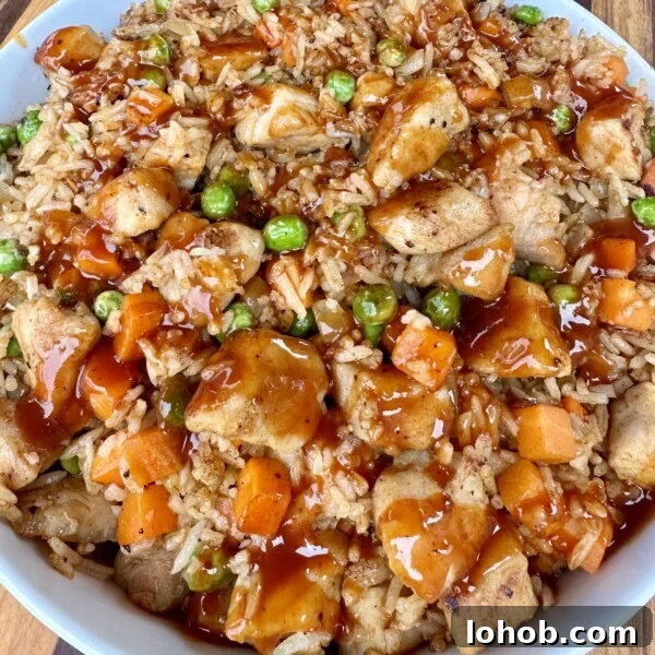 Pork fried rice