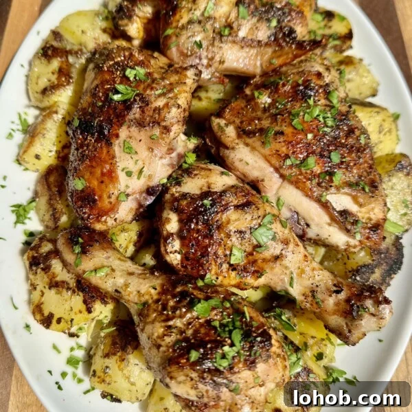 Grilled Greek Chicken