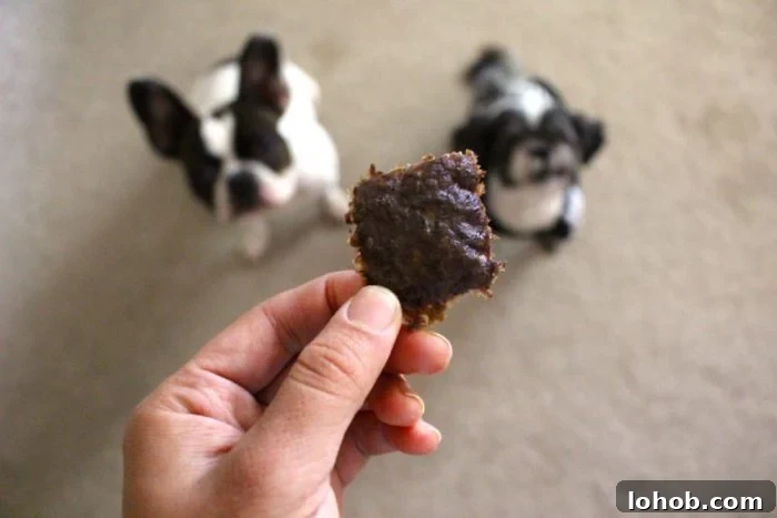 Homemade Beef Jerky Treats Dogs Will Love — Safe Recipe Guide 2 raw dog treat