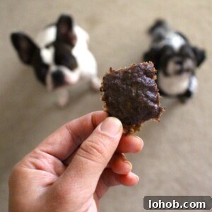 Homemade Beef Jerky Treats Dogs Will Love — Safe Recipe Guide 11 img 4037 10