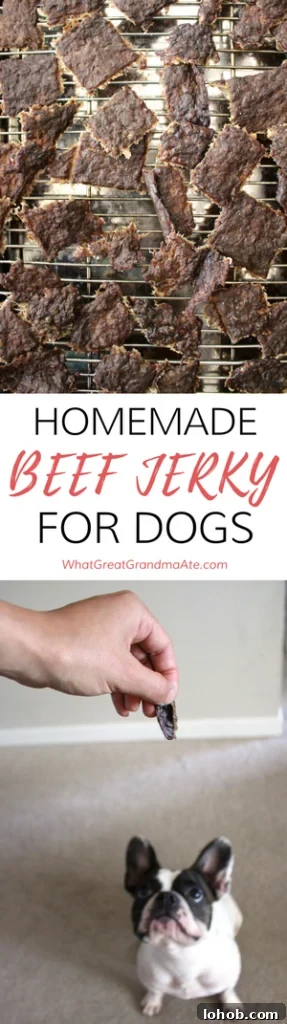 Homemade Beef Jerky Treats Dogs Will Love — Safe Recipe Guide 12 Paleo Homemade Dog Treat Beef Jerky