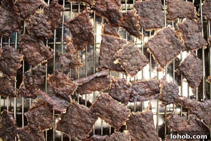 Homemade Beef Jerky Treats Dogs Will Love — Safe Recipe Guide 6 raw dog treat