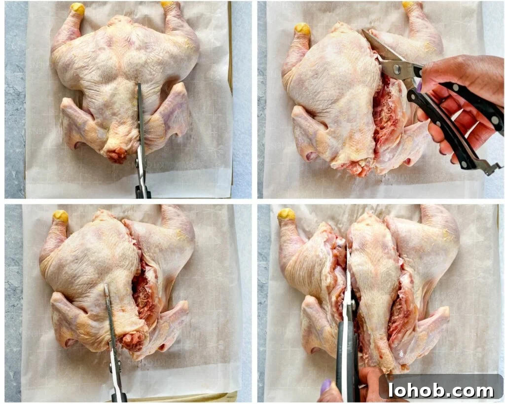 collage photo showing how to spatchcock a chicken and remove the backbone