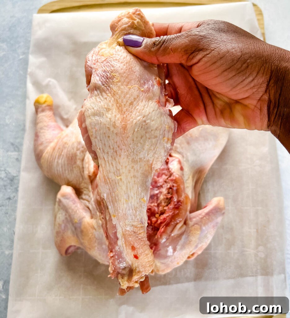 person holding backbone of chicken