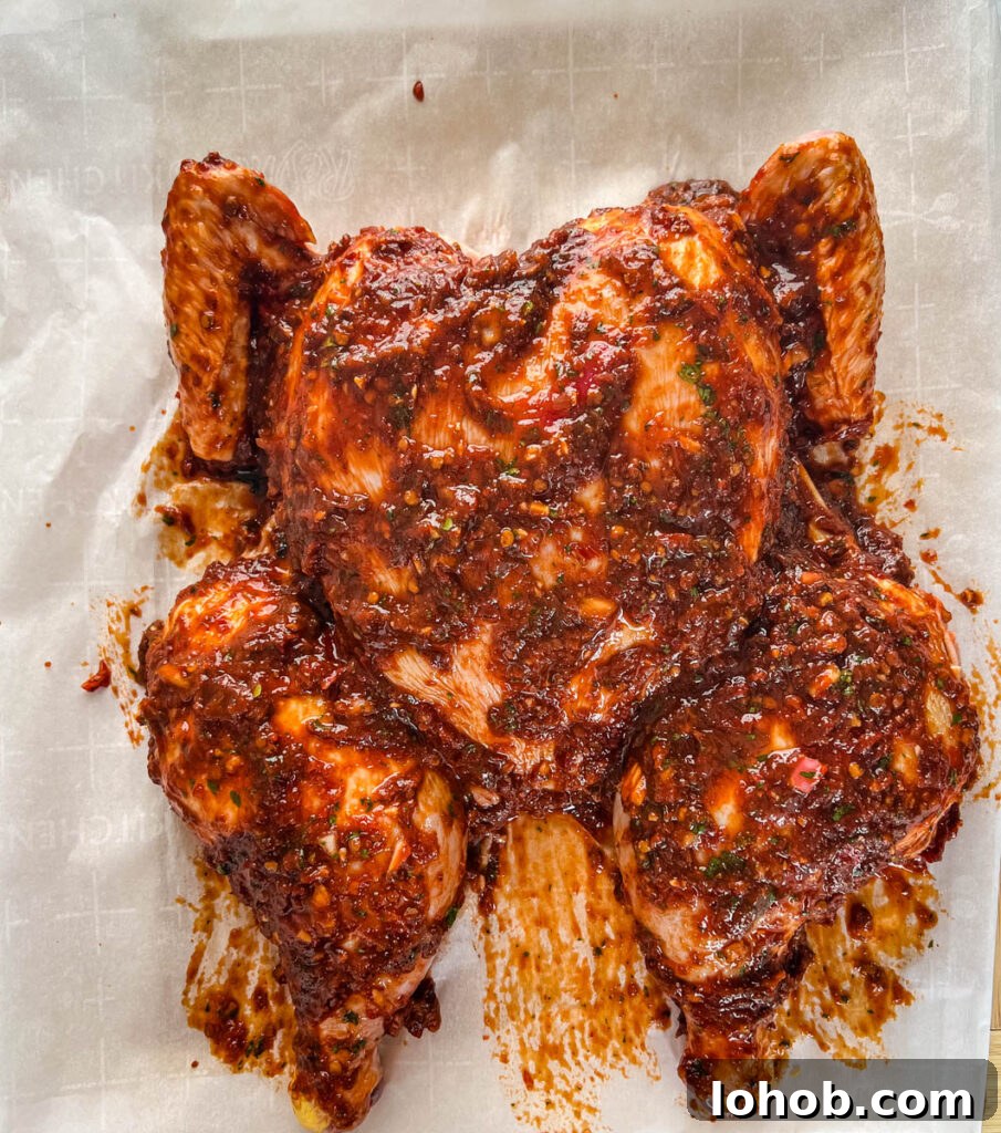 seasoned and marinated raw whole chicken on a cutting board