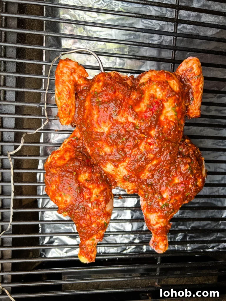 seasoned and raw whole chicken with a probe on a Traeger pellet grill smoker