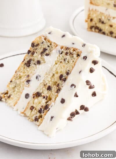 Slice of Chocolate Chip Cake on a plate, showing the inside and frosting layers, with other pieces of cake in the background.