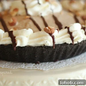 How to Make a Classic Mud Pie Dessert быстро 8 mud pie with whipped cream border and chocolate drizzle/toasted almonds on top, sitting on doily and cream cake stand