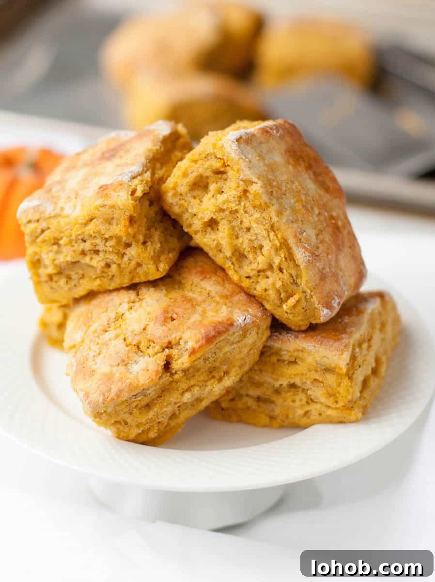 Pumpkin Buttermilk Biscuits-2