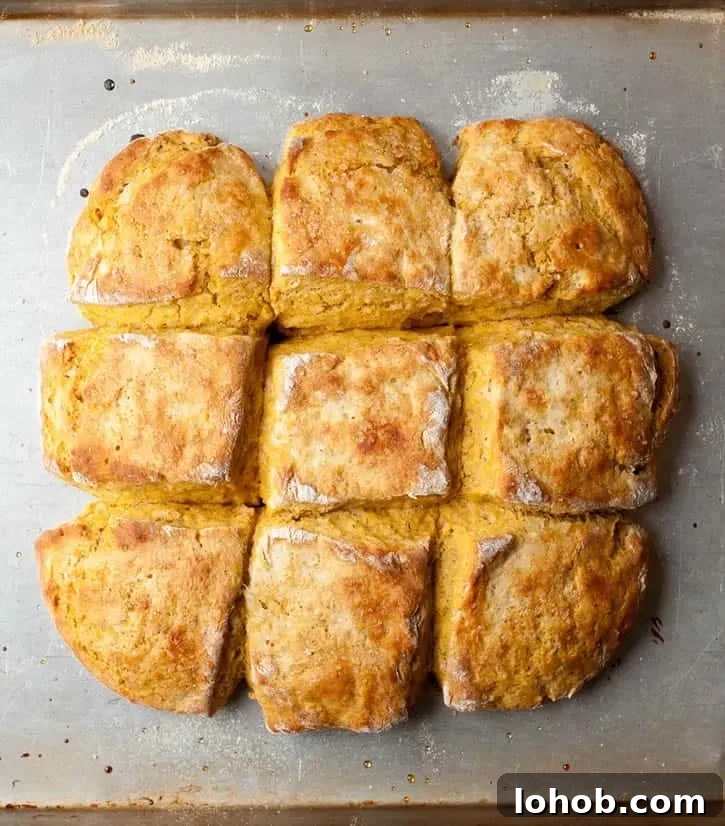 Pumpkin Buttermilk Biscuits-8
