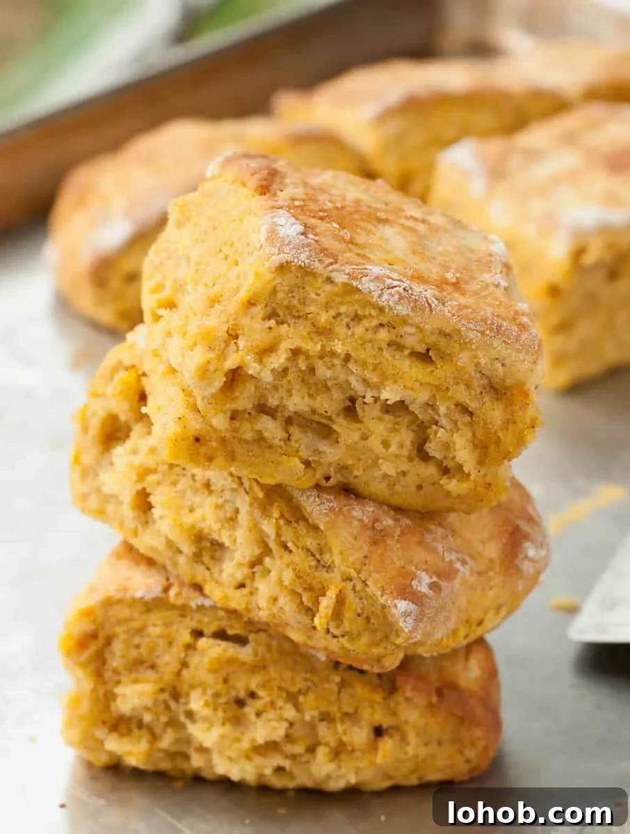 Pumpkin Buttermilk Biscuits-9