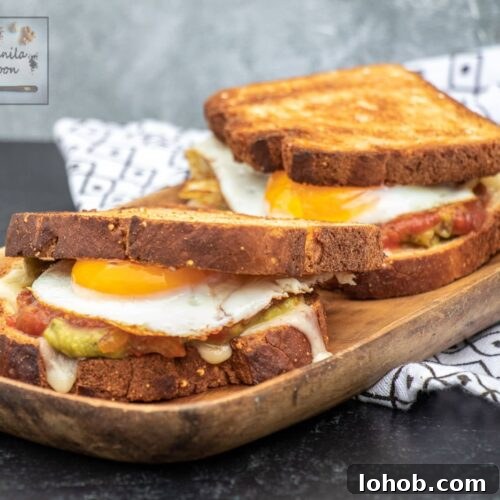 Guacamole, Salsa & Egg Breakfast Sandwich Recipe 9 Finished sandwich