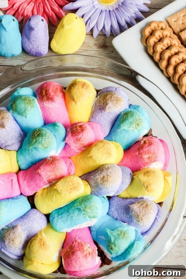 Peep S’mores Dip for Easter: Gooey Marshmallow Dessert Dip 2 peeps s'mores dip in a pie plate on table