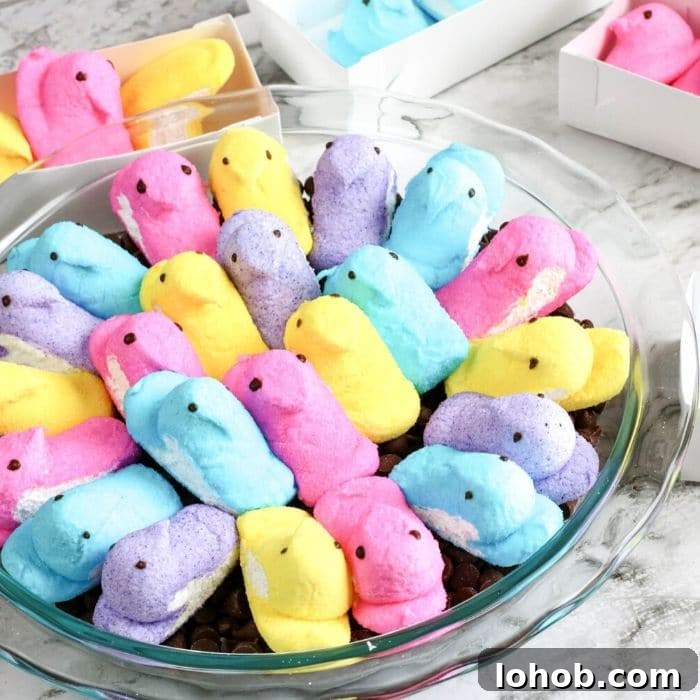 Peep S’mores Dip for Easter: Gooey Marshmallow Dessert Dip 6 peeps in a pie pan on top of chocolate chips
