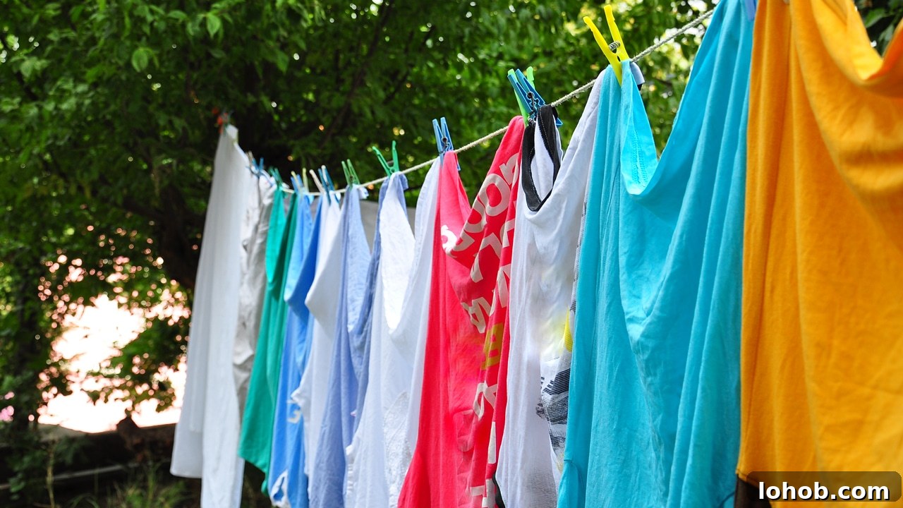 dry clothes