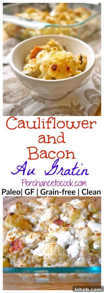 Cauliflower and Bacon Au Gratin Recipe — Paleo & Gluten-Free 8 Cauliflower and Bacon Au Gratin (paleo, GF)| Perchance to Cook, www.perchancetocook.com