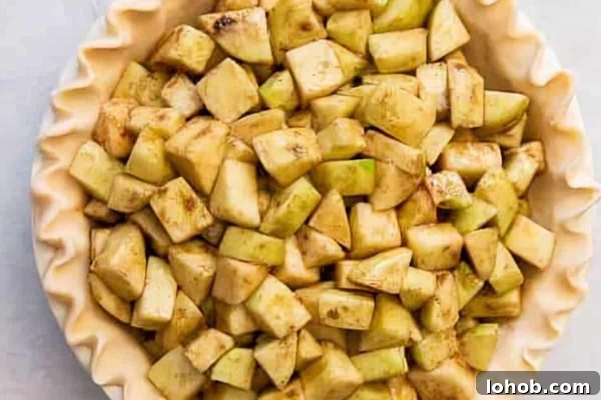 apple pie filling on a crimped crust.