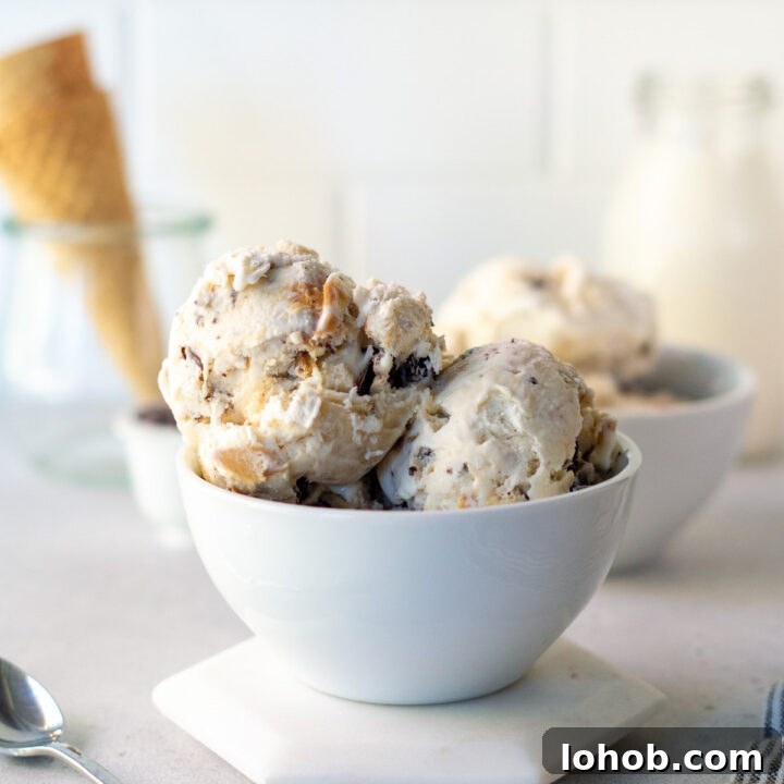scoops of no churn fat elvis ice cream in a bowl with swirls of peanut butter and banana.
