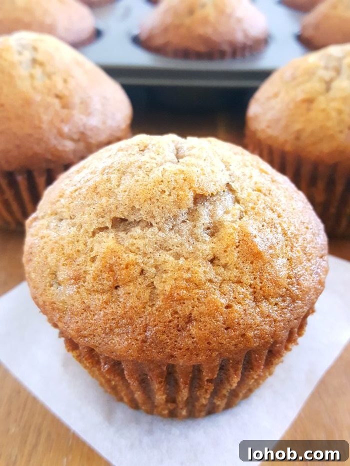 Pumpkin Banana Muffins Recipe with Warm Spices and Moist Texture 10 Banana Muffin Recipe for 2 Bananas