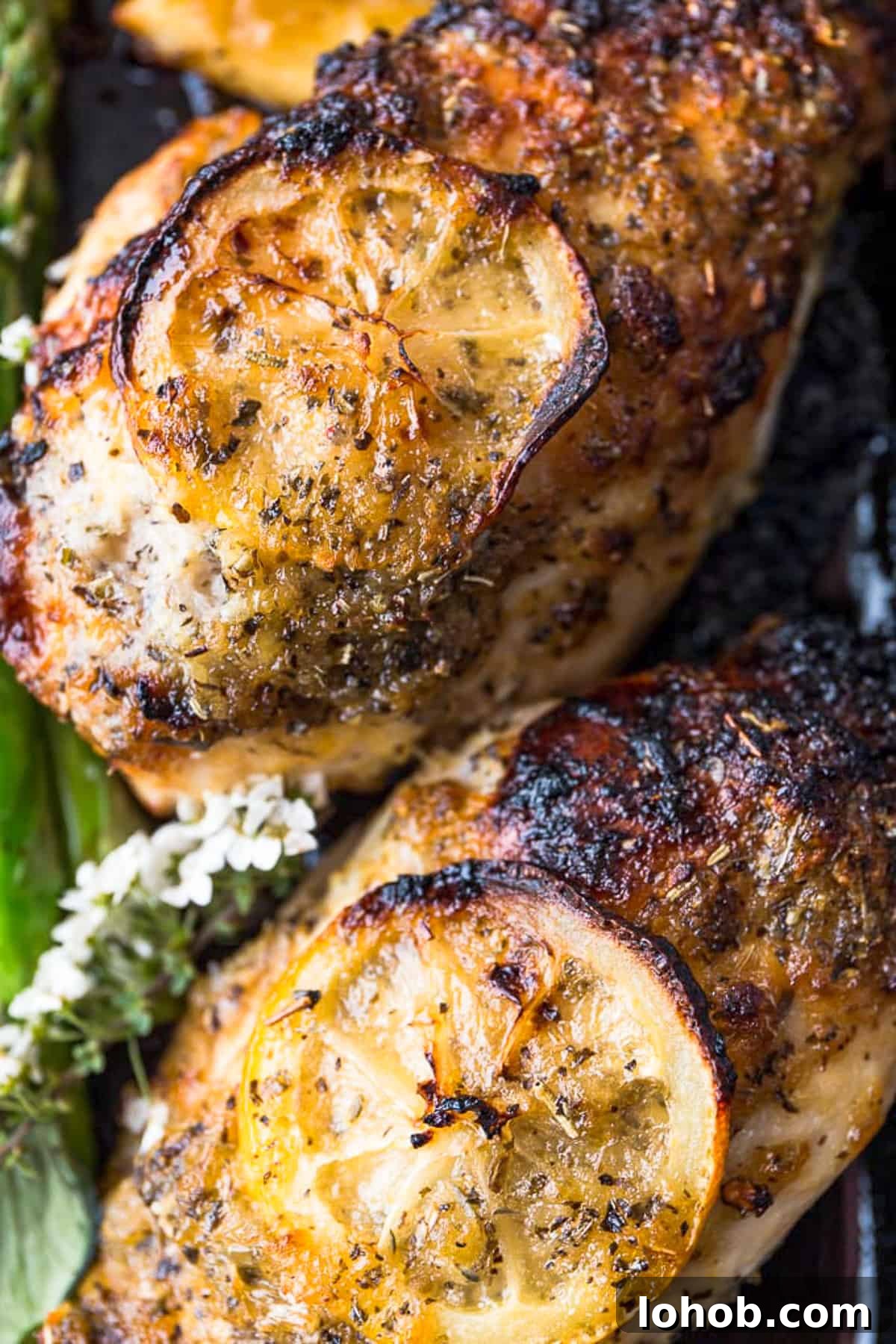 Roast chicken breast with lemon on a sheet pan.