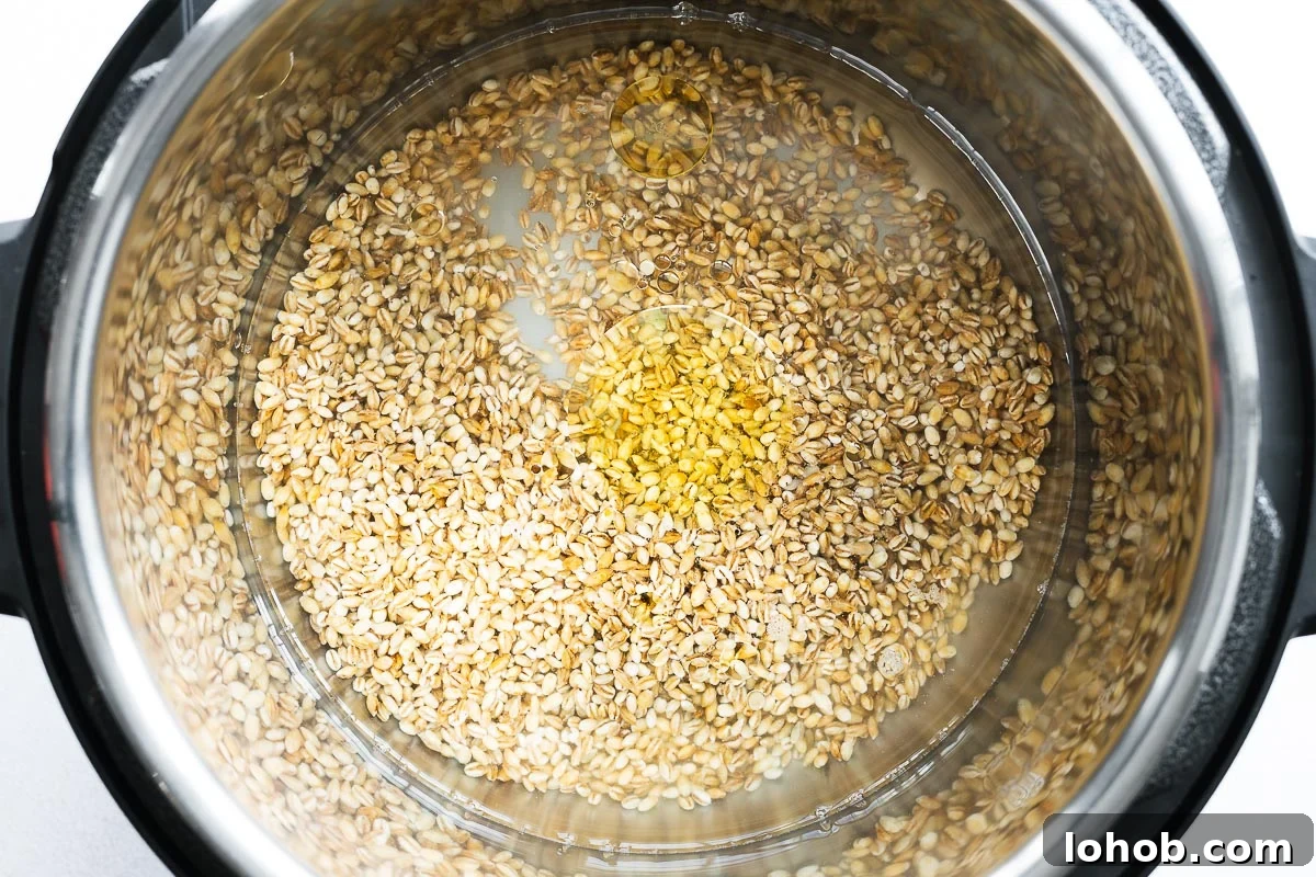 Barley: Instant Pot and Stovetop Cooking Guide 4 Unccoked pearl barley with water and olive oil in the Instant Pot insert.