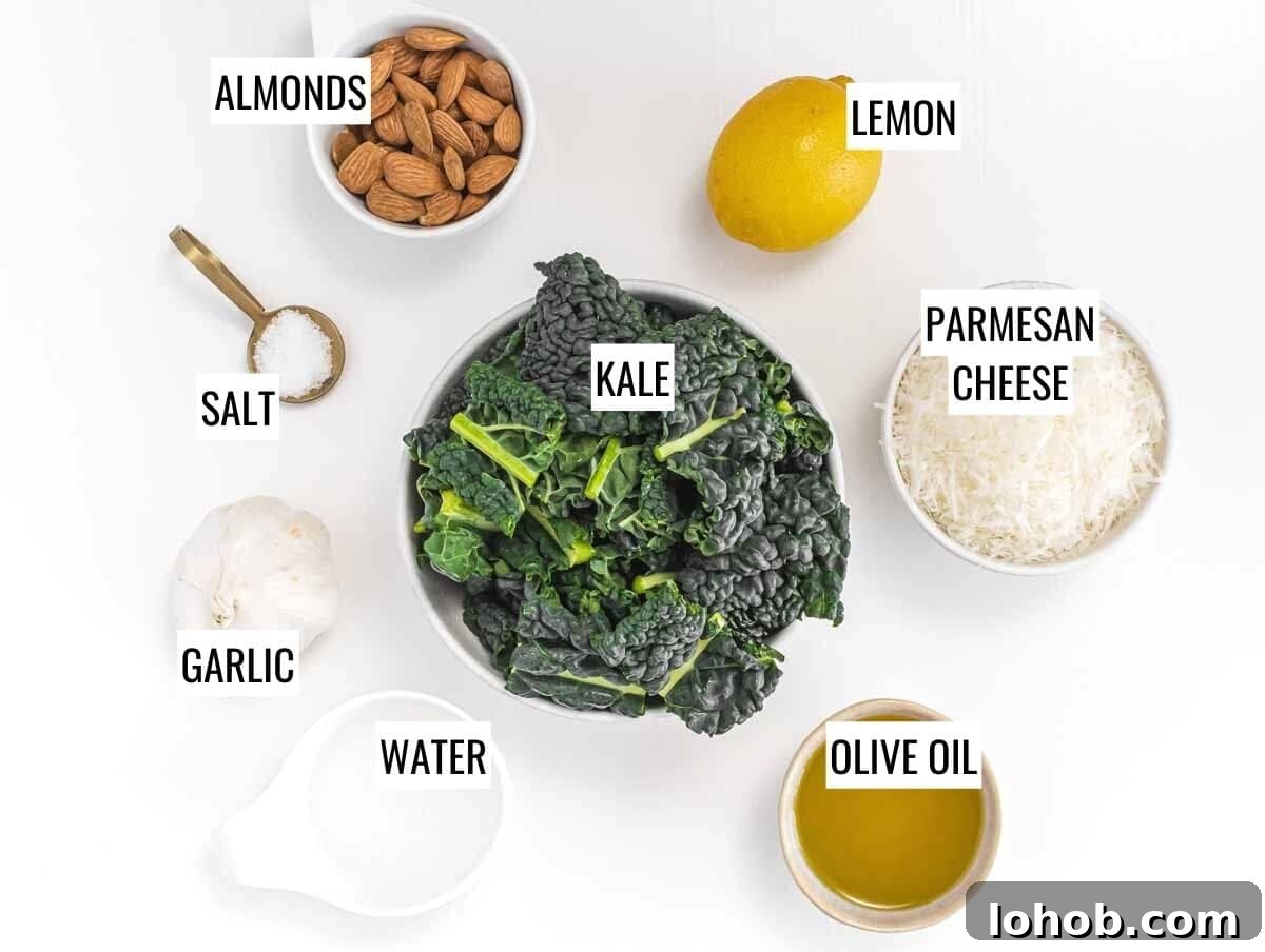 Kale Pesto Recipe: Vibrant Sauce for Pasta, Sandwiches & More 4 Ingredients for Kale Pesto