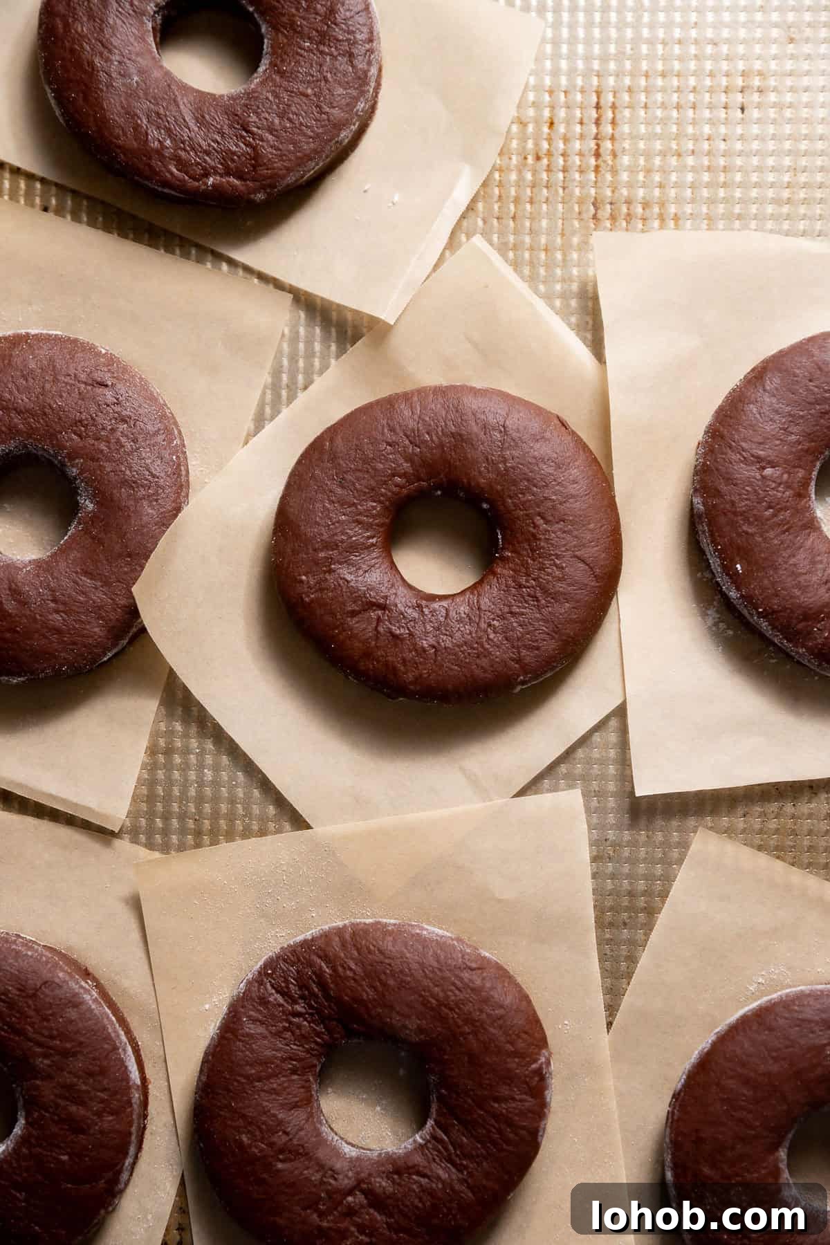 Chocolate doughnuts on individual parchment squares before frying.