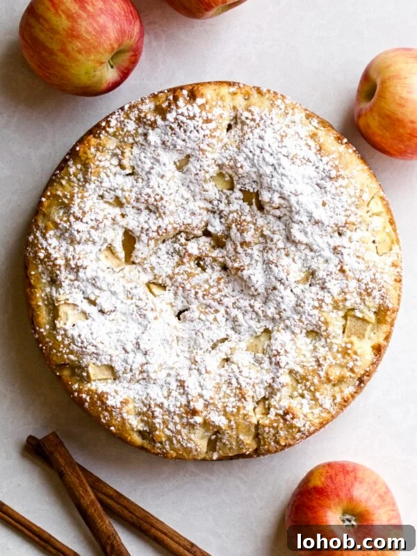 Italian Apple Cake close up of the cake with powdered sugar