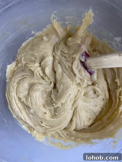 Spatula in a bowl of biscotti dough.