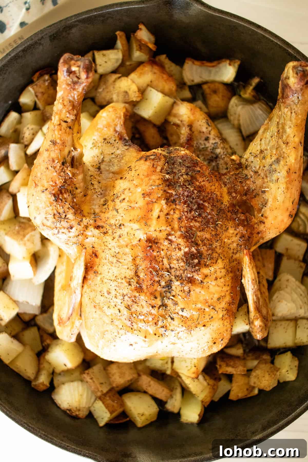 Cast iron roast chicken with red potatoes, whole, in cast iron skillet.