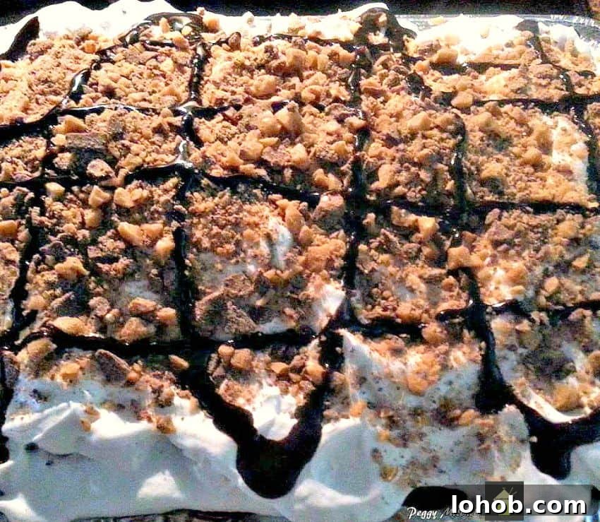 Chocolate Caramel Fudge Sheet Cake slice