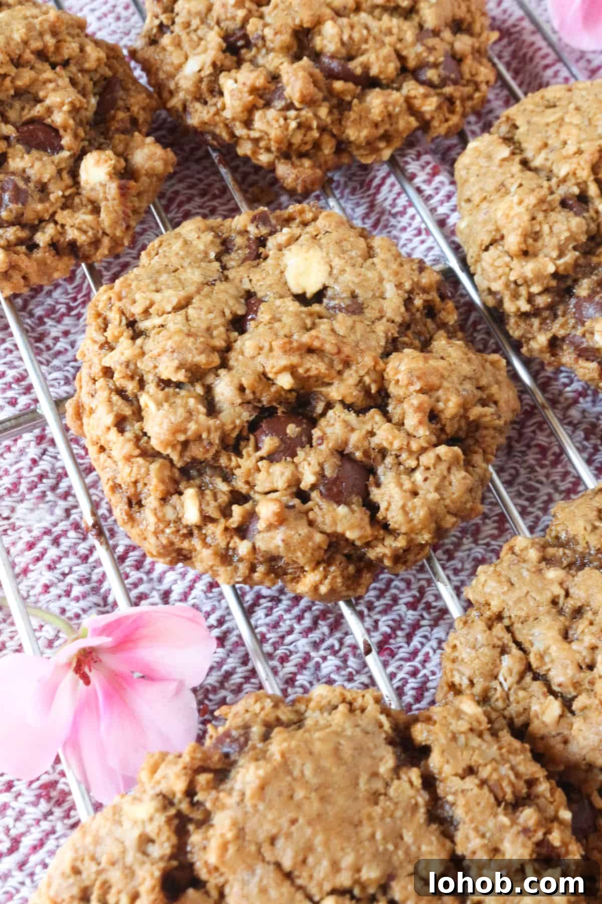Vegan Oatmeal chocolate chip cookies on a wire rack