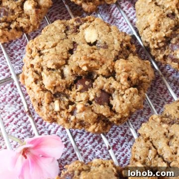 Vegan Oatmeal chocolate chip cookies on a wire rack