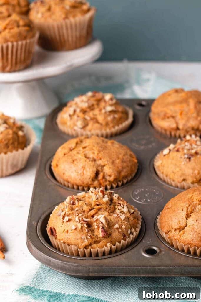 Dairy-Free Gluten-Free Carrot Muffins – Moist, Allergy-Friendly 2 Gluten-free Carrot Muffins in vintage ecko tin with pecans sprinkled on top for texture and crunch.