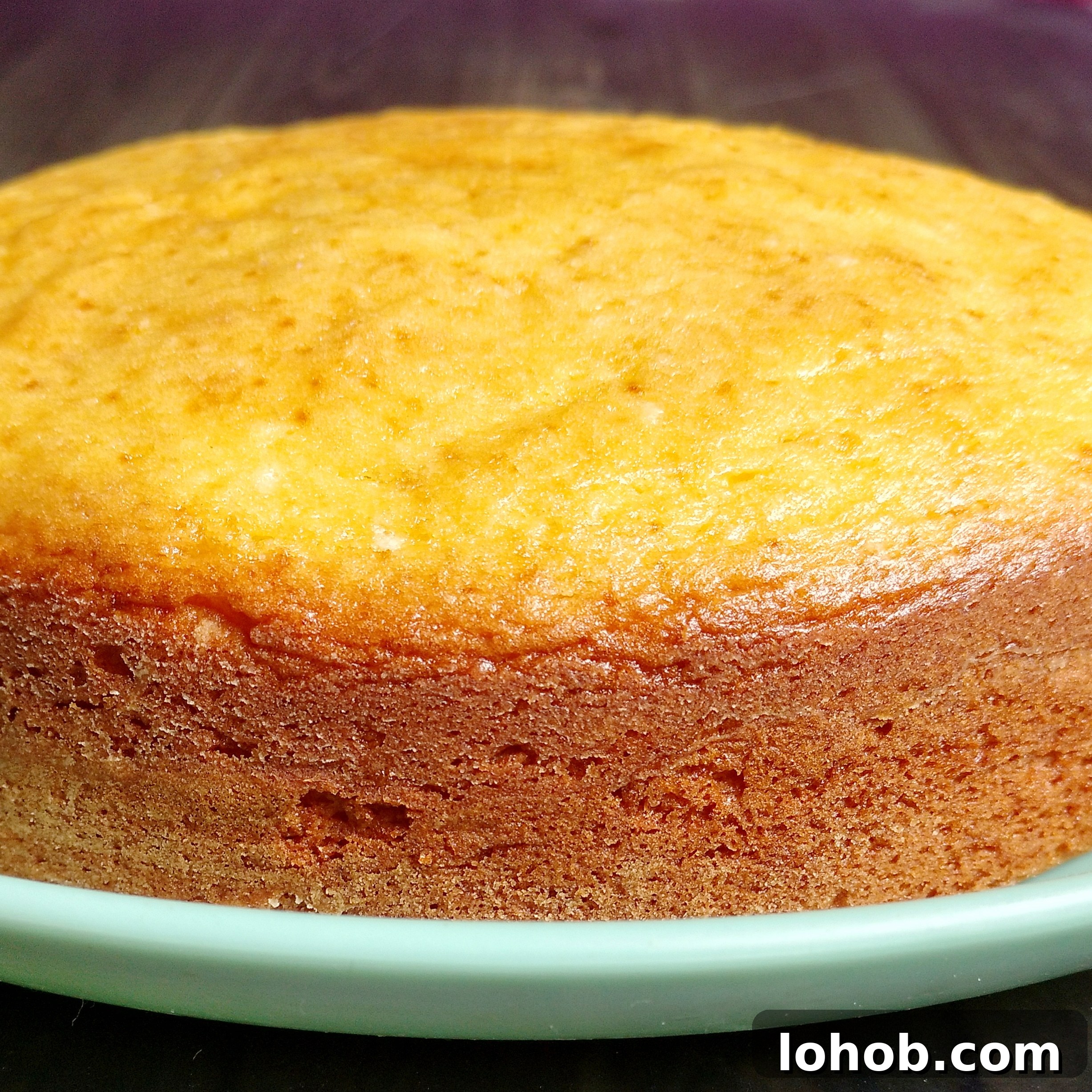 Mango Sponge Cake Recipe: Light, Fluffy Tropical Dessert 2 img 68248 1