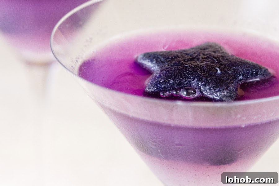 Alcohol-Free Drinks: Creative Mocktails & Refreshing Alternatives 15 A purple drink in a martini glass with a purple ice star floating on it.