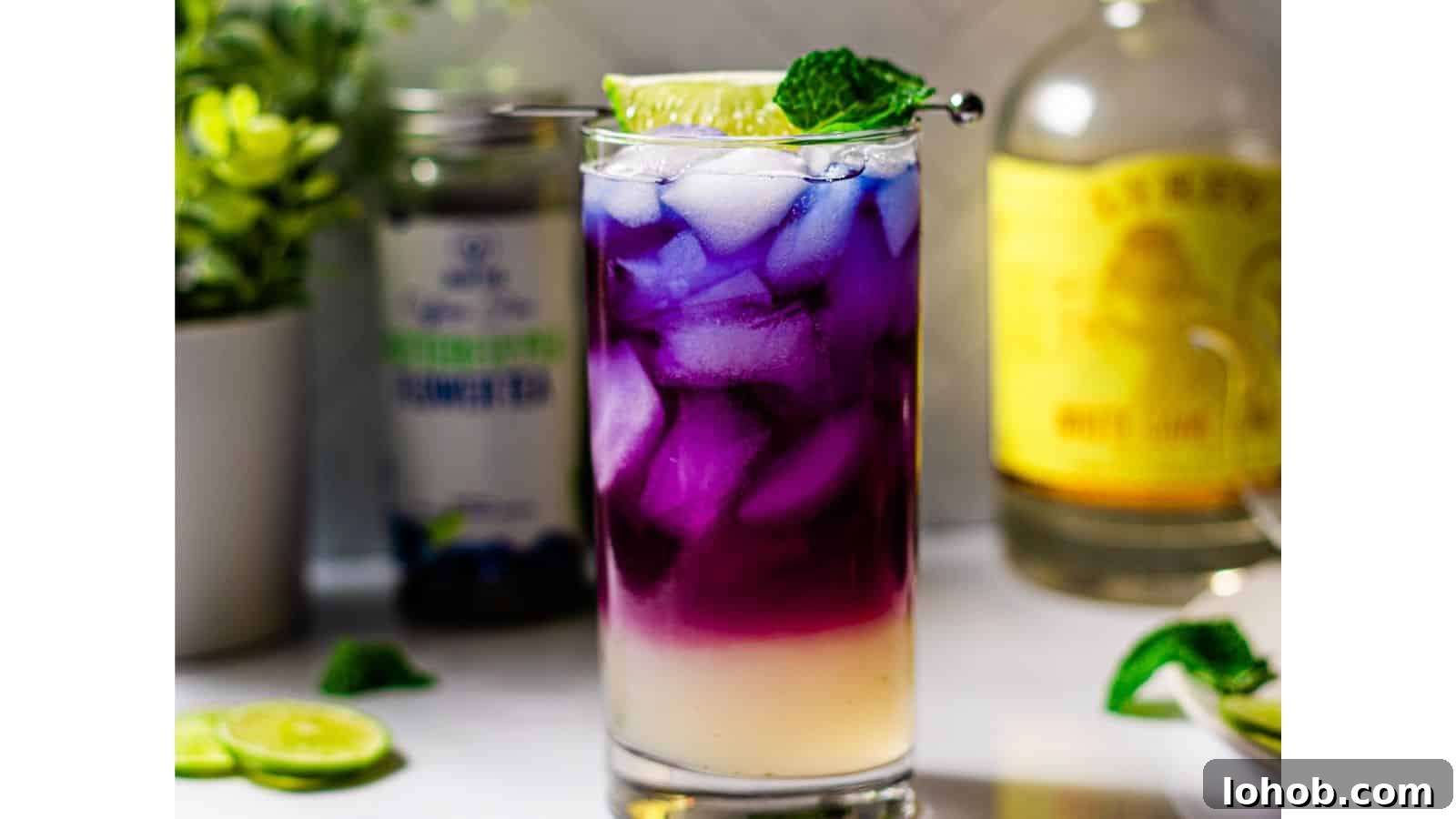 Alcohol-Free Drinks: Creative Mocktails & Refreshing Alternatives 30 img 68866 30