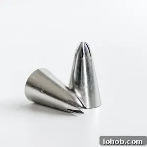 Wilton 1M piping tip