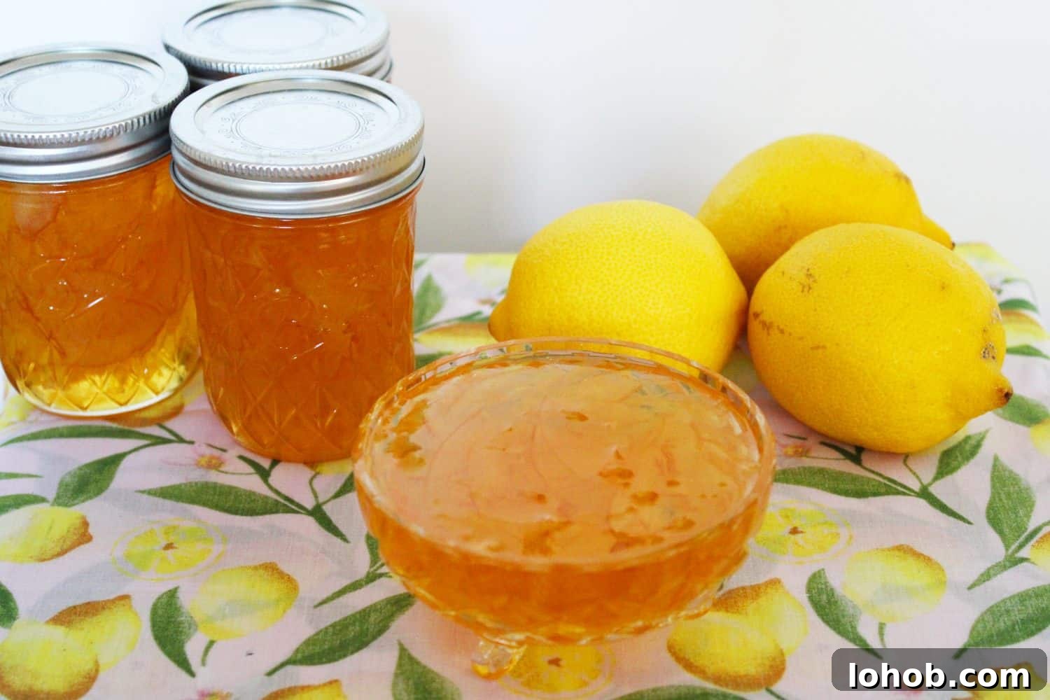 3-Ingredient Lemon Marmalade Recipe Made from Scratch 5 Three Ingredient Lemon Marmalade. A recipe by It's Not Complicated Recipes.