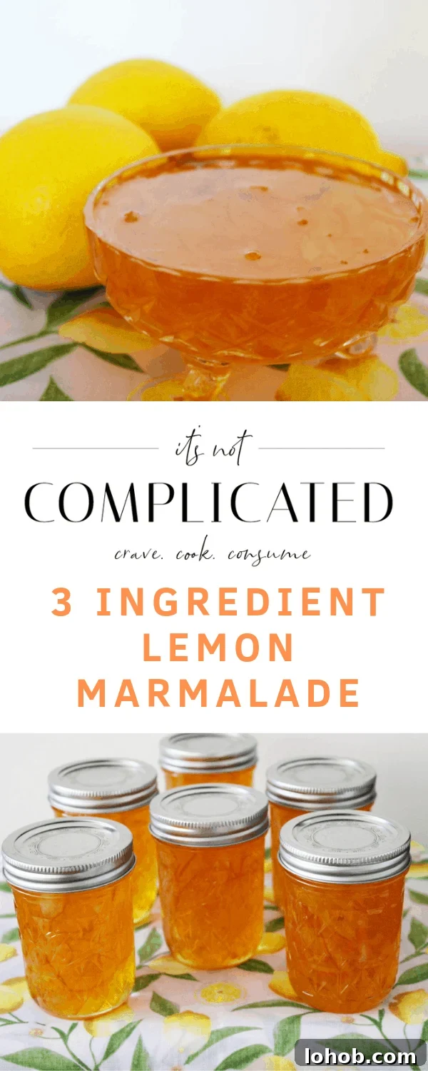3-Ingredient Lemon Marmalade Recipe Made from Scratch 8 Three Ingredient Lemon Marmalade. A recipe by It's Not Complicated Recipes.