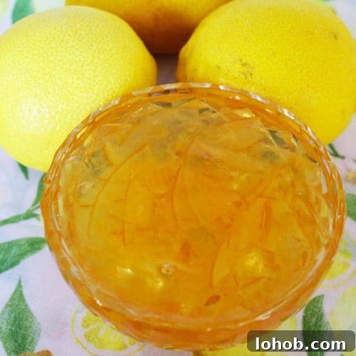 Three Ingredient Lemon Marmalade. A recipe by It's Not Complicated Recipes.