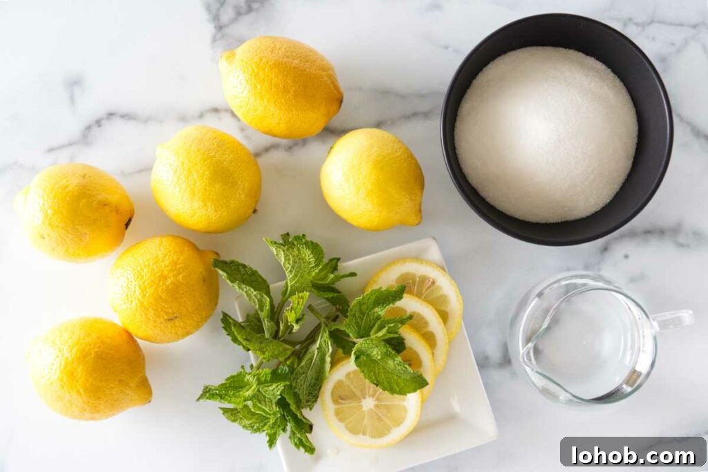 Classic Old-Fashioned Lemonade Recipe for Refreshing Summer Sips 3 Ingredients to make old fashioned lemonade: lemons, sugar and water. A small plate with lemon slices and fresh mint.
