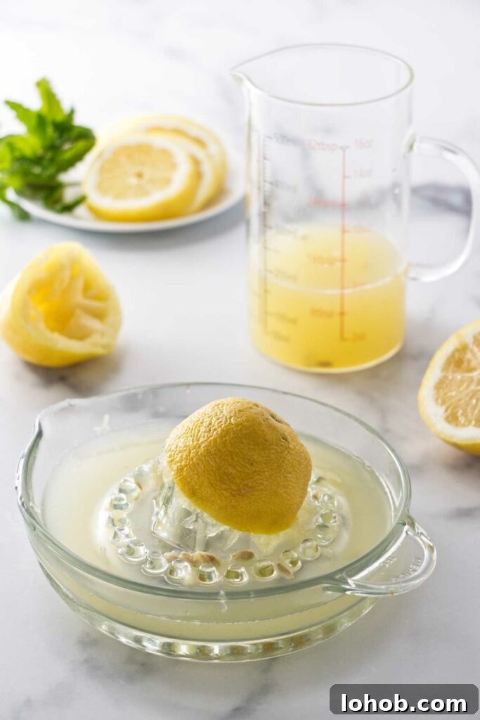 Classic Old-Fashioned Lemonade Recipe for Refreshing Summer Sips 4 Half a lemon and lemon juice in a lemon juicer. A pitcher of lemon juice, lemons and a plate of lemon slices and mint.