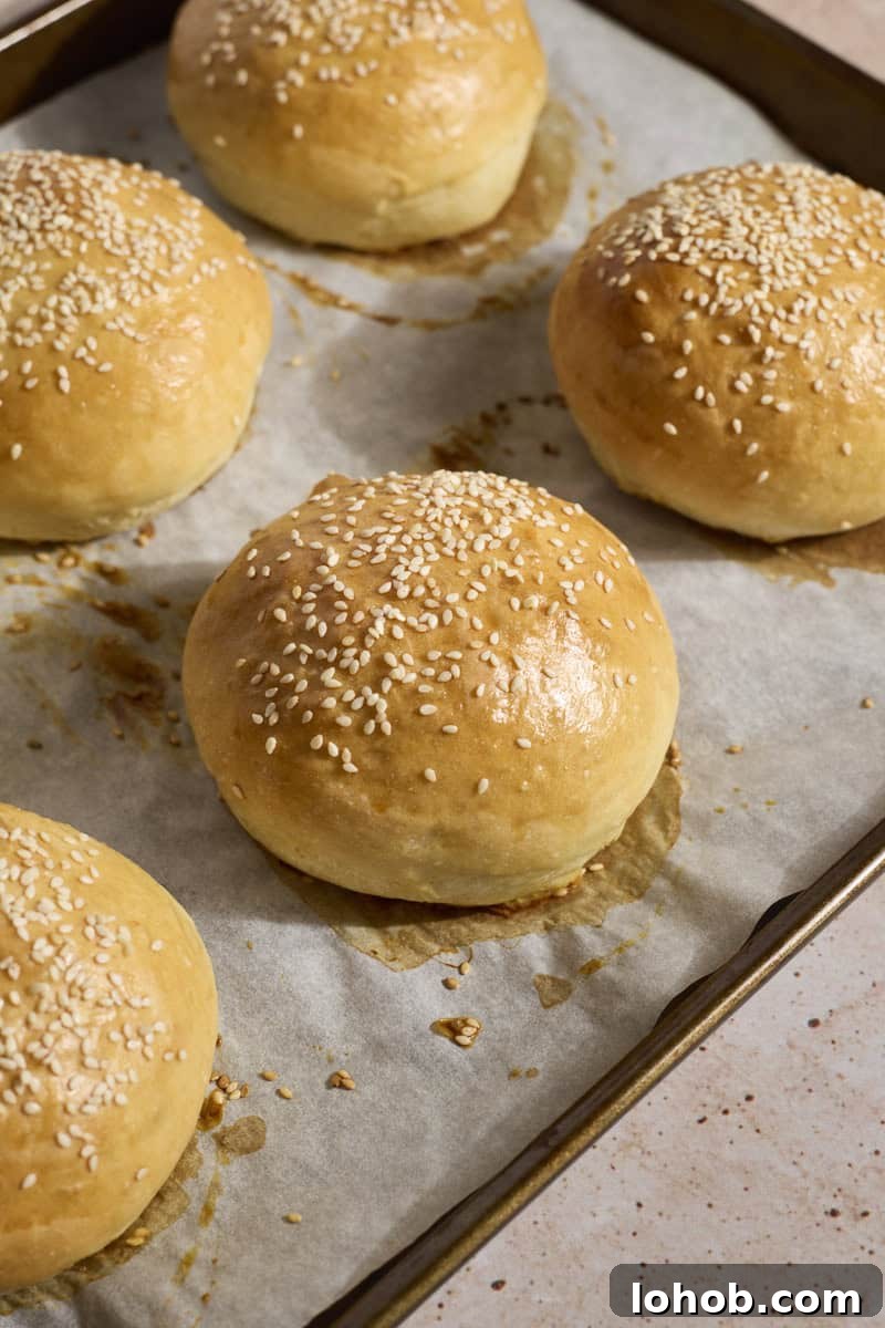 Fluffy Sourdough Discard Hamburger Buns You Can Make at Home 11 Baked Sourdough Discard Hamburger Buns on a baking sheet.